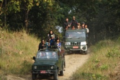 jungle-safari-chitwan